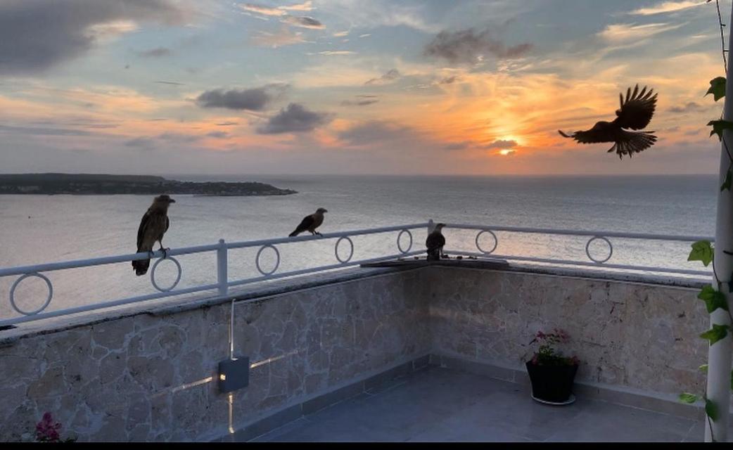 Appartement Penthouse 360 Cartagène Extérieur photo